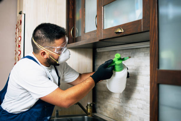 Best Emergency Pest Control  in Hobart, WI
