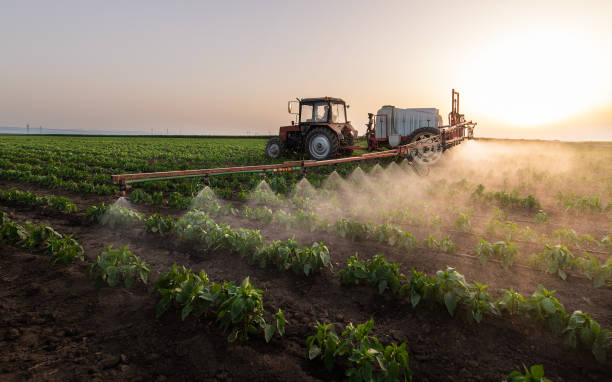 Best Ant Control Services  in Hobart, WI