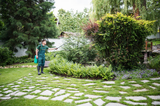 Best Affordable Pest Control Services  in Hobart, WI