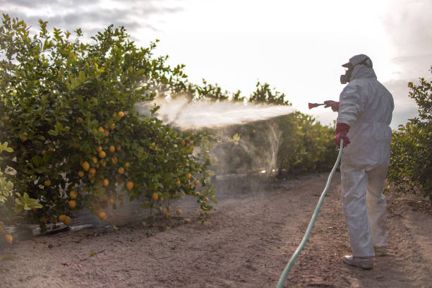 Best Pest Control Near Me in Hobart, WI