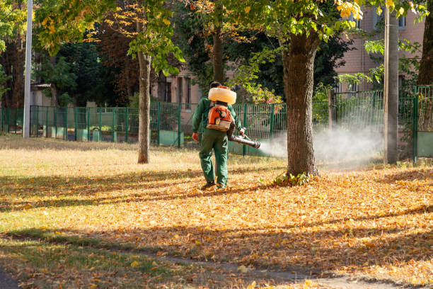 Best Rat Extermination Near Me  in Hobart, WI