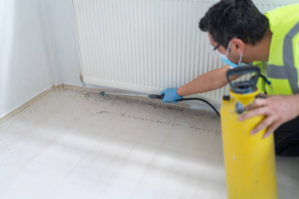 Best Best Pest Control Companies  in Hobart, WI