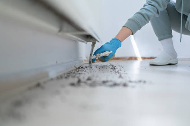 Best Pest Control Near Me  in Hobart, WI